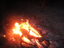 IMG_1486.JPG
